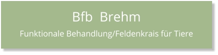 Bfb  Brehm Funktionale Behandlung/Feldenkrais für Tiere