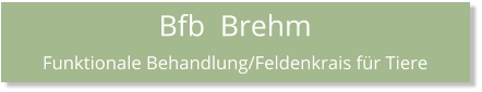 Bfb  Brehm Funktionale Behandlung/Feldenkrais für Tiere